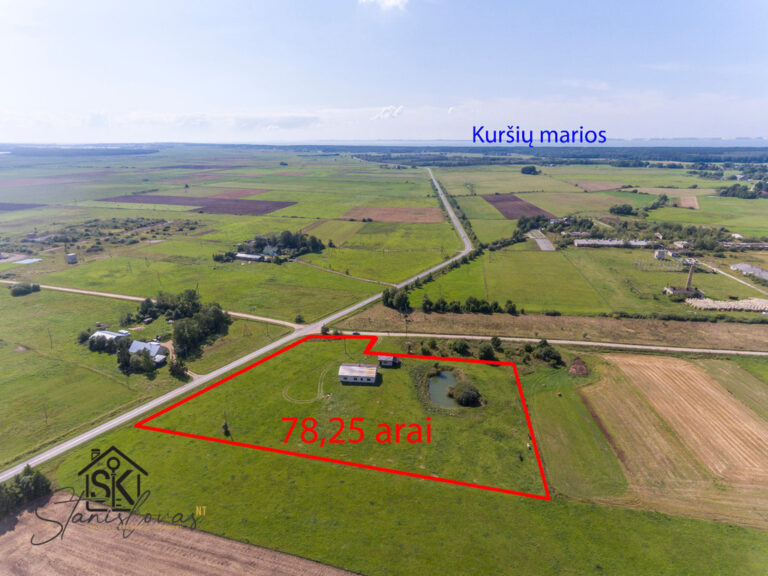 PARDUODAMAS NAMAS SU 78.25 ARŲ ŽEMĖS SKLYPU ŠILUTĖS R. SAV., ŽYNIŲ K. 9A