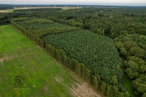 PARDUODAMAS 1.9950 HA MIŠKŲ ŪKIO SKLYPAS ŠILUTĖS RAJONE, GRABUPĖLIŲ K.