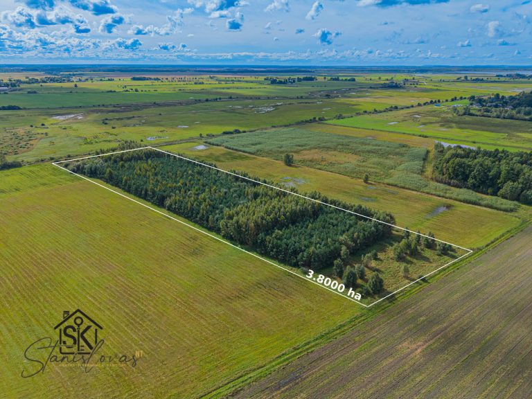 PARDUODAMAS 3.8000 HA ŽEMĖS SKLYPAS ŠILUTĖS R., PETRELIŲ K.